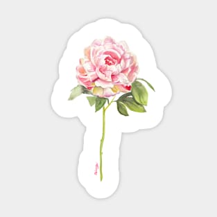 Peony flower Sticker